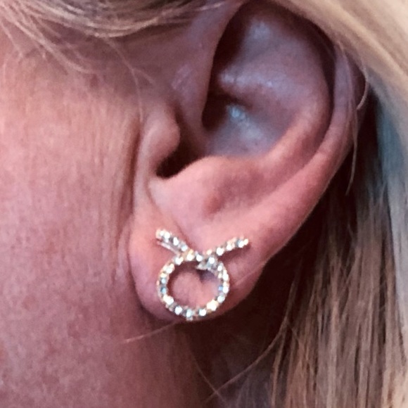 💜3/$30 Horoscope Zodiac Taurus The Bull Clear crystal earrings - Picture 2 of 7